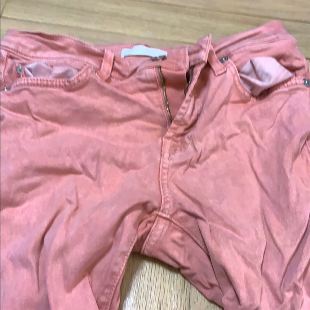 Salmon 7